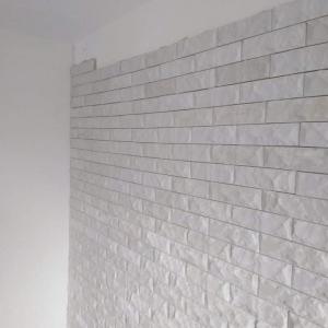 Лепене на Декоративен камък в хол София ж.к Младост