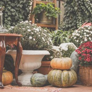 5 идеи за есенна декорация