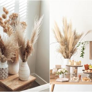 Сухи растения