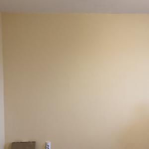 Шпакловка боя и ламинат и монтаж на нови контакти в хола