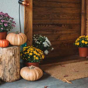 Тиквено царство