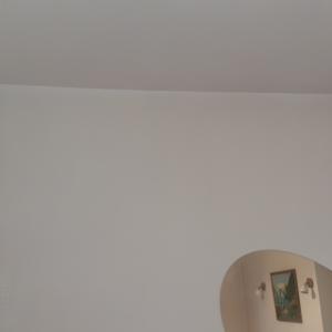 Шпакловка и латекс