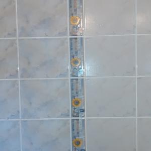 Ремонт на баня