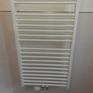 Лира за Баня