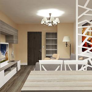 проекти и визуализации