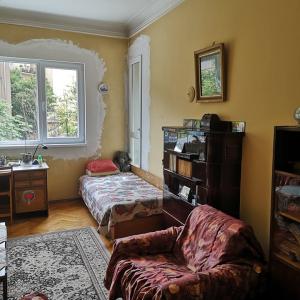 Боядисване