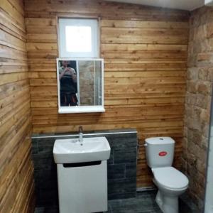 Камък и дърво 1