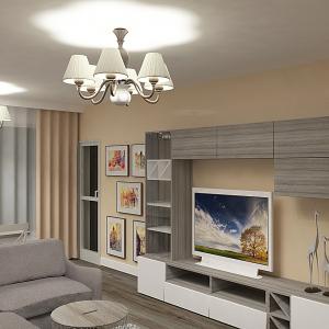 проекти и визуализации