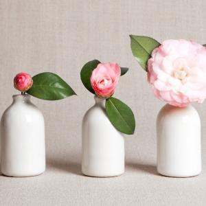 Рационална ваза