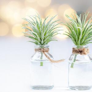 6 нестандартни вази за (не)всеки дом