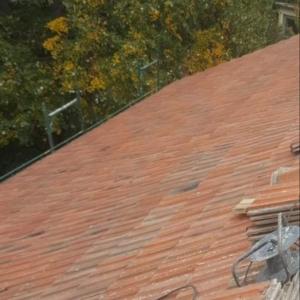 received_3279956115349165