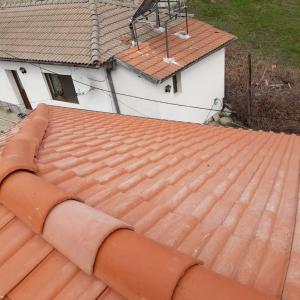 received_558848701481643 (1)