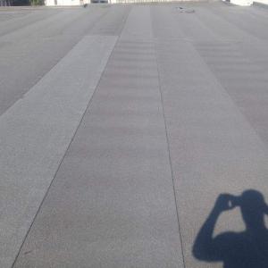 FB_IMG_1593960739480