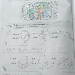 IMG-40ce0f447e2be4b976365cc00df48ef3-V