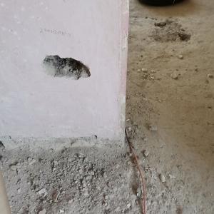 178486763_1095360130873883_5041636192898105813_n