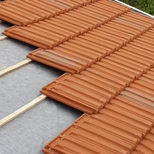 Божурище 2019г.