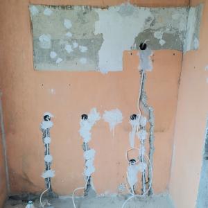 123727502_982595125483718_3393133164303185042_n