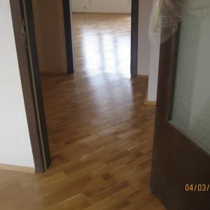 267496_481726288533697_1538366535_n