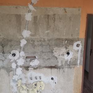 123724375_982595315483699_4623398914522522328_n