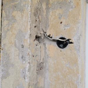 123639525_982595212150376_1890127576778792760_n