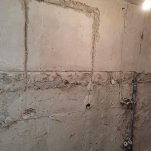 122871433_974983716244859_5238904113087402546_n