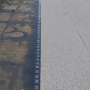 FB_IMG_1613990591236