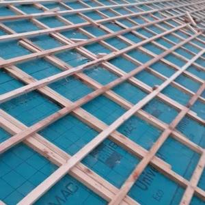 FB_IMG_1621891048371