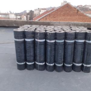 IMG-982d77c994a617f2ca7694d700c1c2dd-V