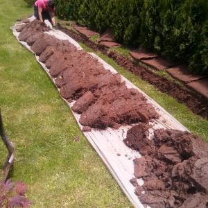 IMG_20210602_132704_758