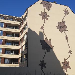 ул. Свищов с красива рисунка