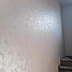 FB_IMG_1637691932392