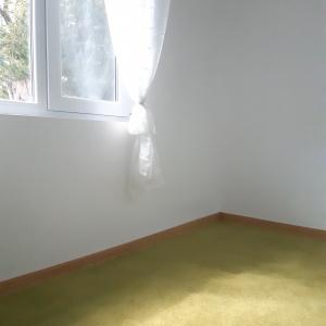 Ремонт на село за една баба.