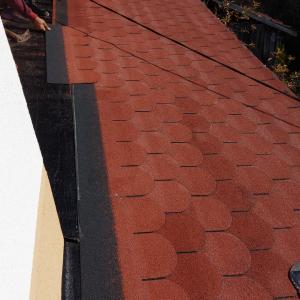 Screenshot_20211107-120604_Gallery