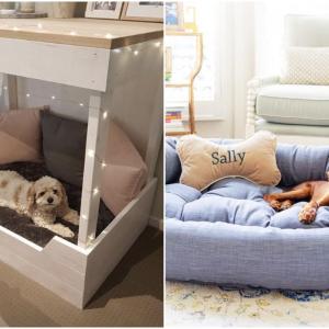 Собствени мебели за животни