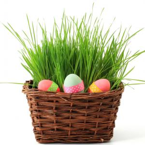 Зеленото като основен цвят