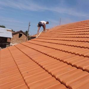 FB_IMG_1648828106276