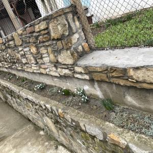 A007D8DA-5A34-49A0-89FC-466D6CE05A69