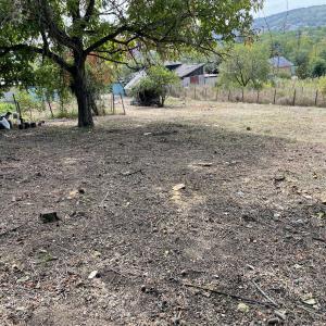 42D033CF-0207-40EC-A328-D2E39A155BF7