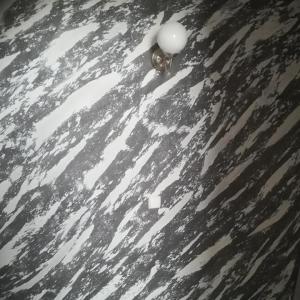 90560049_1015796122150975_2005225303135223808_n