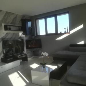 155286866_1280883605642224_1811788145861193082_n