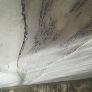 91013169_1015795808817673_1573651729214341120_n