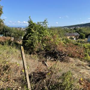 B6AB969B-F1F3-4D5F-9F94-FEE5519A2DFC