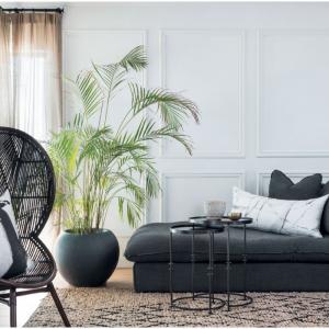 Когато растенията трябва да използват прекалено много от енергията си, за да се предпазят от високите температури или силна слънчева светлина, те не могат да се развиват в пълния си блясък.