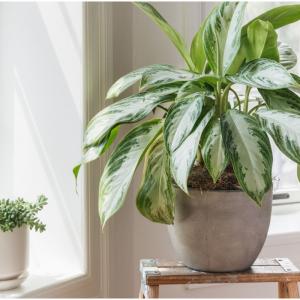 Запознайте се добре с пространството