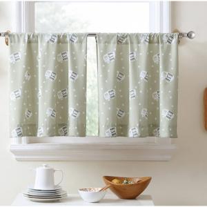 Пет начина да предпазите цветята, отглеждани от южната страна