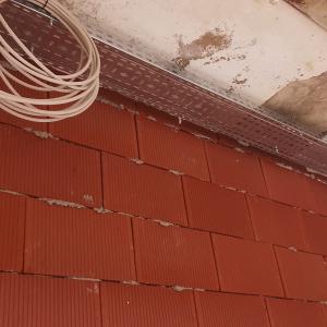 inbound7442968544483082248