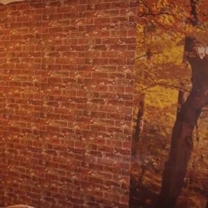 inbound1650492727475031768