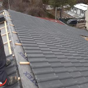 FB_IMG_1665156386064