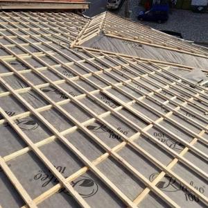 FB_IMG_1669187800765