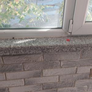 IMG-1116b795c241bcb27e37f6c954c4d128-V